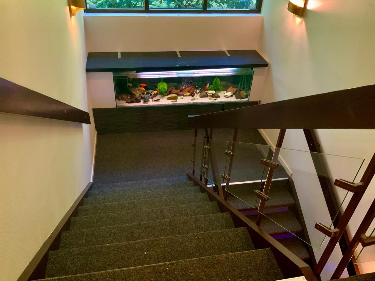 Skogsvikens Hotell Kolmården Buitenkant foto