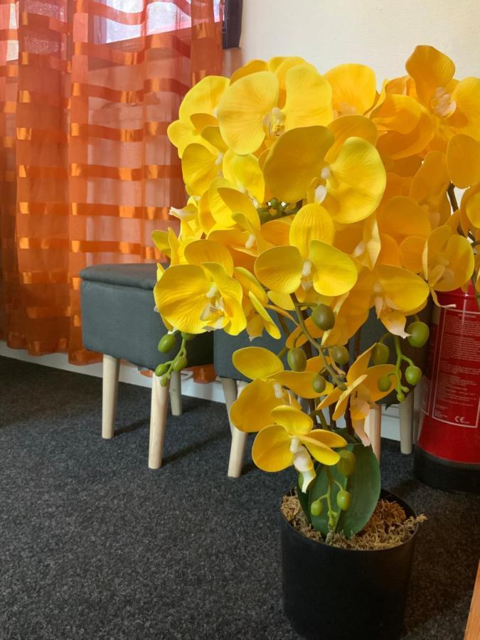 Skogsvikens Hotell Kolmården Buitenkant foto