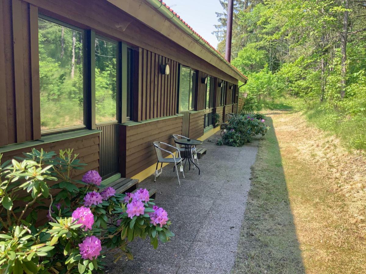 Skogsvikens Hotell Kolmården Buitenkant foto